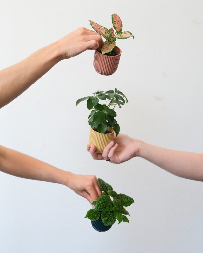 Sustainability img