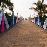 birla trimaya holi event 2026 7